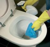cleaning_toilet